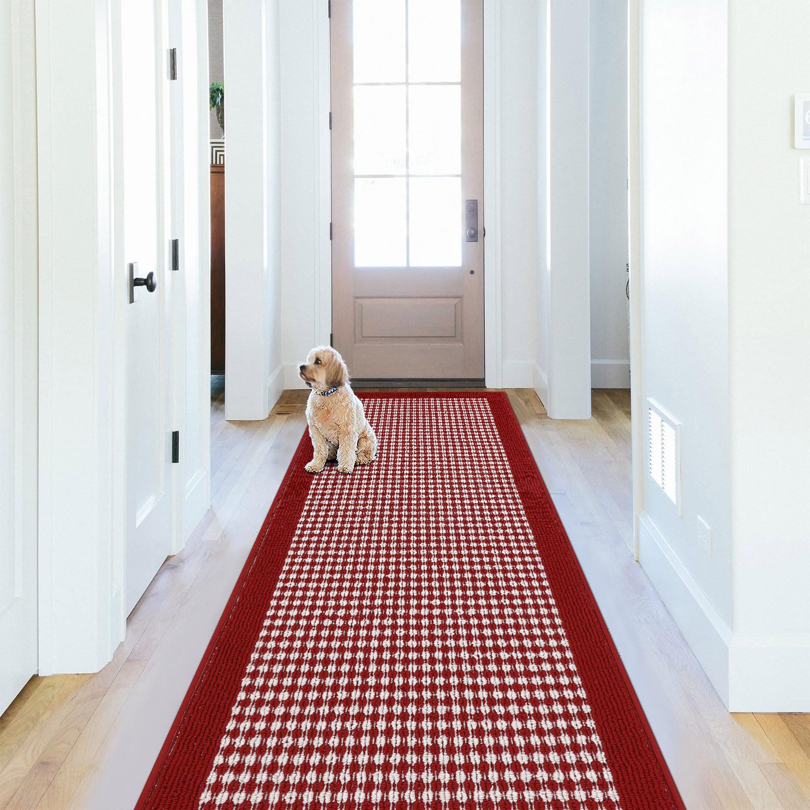 Ileading Indoor Door Mat 3x5ft Absorbent Dog Mats for Muddy Paws,Machine Washable Small Living Room Area Rug with Non-Slip Rubber Backing Low-Profile Inside Carpet for Hallway,Kitchen