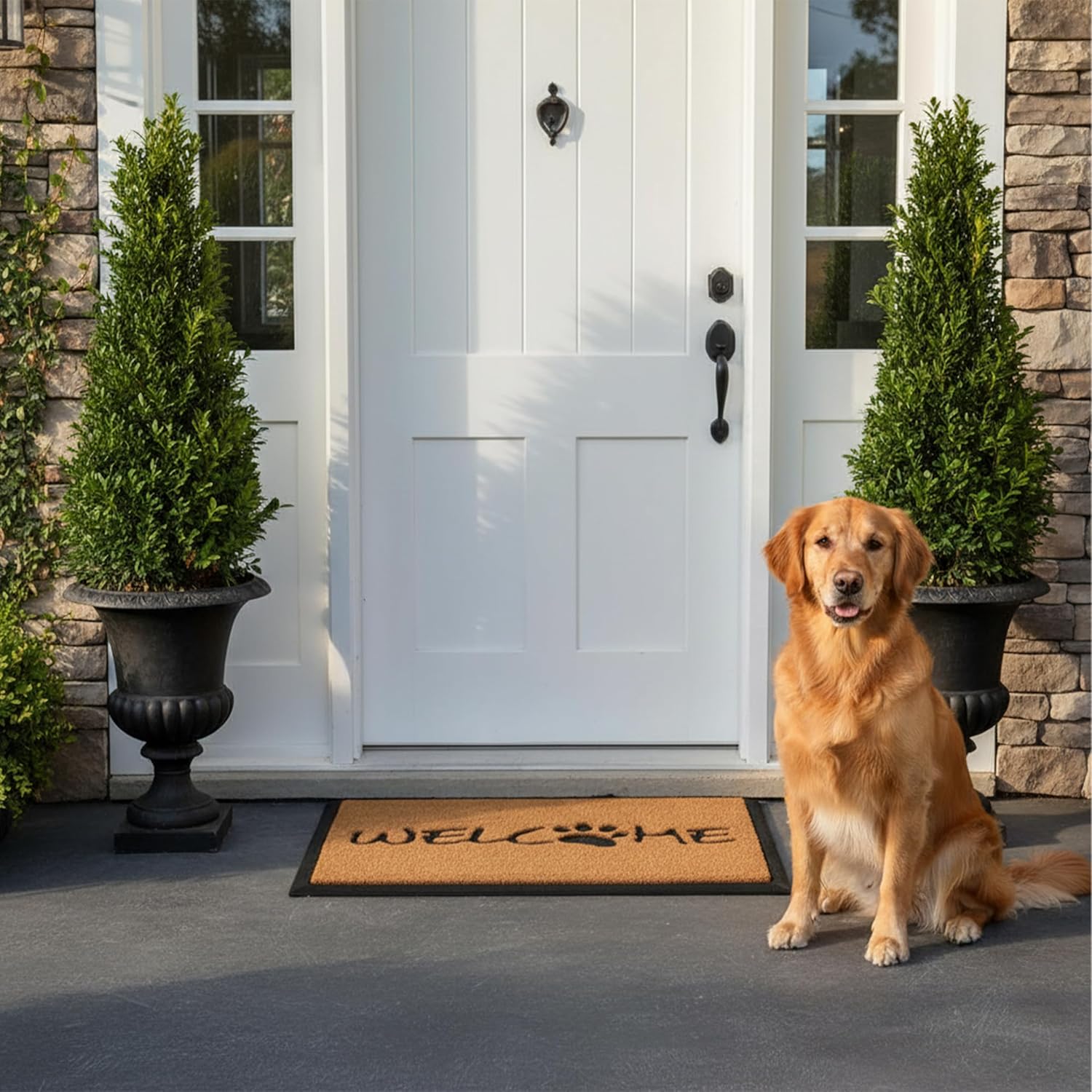 Calloway Mills 102742436 Welcome Paw Doormat