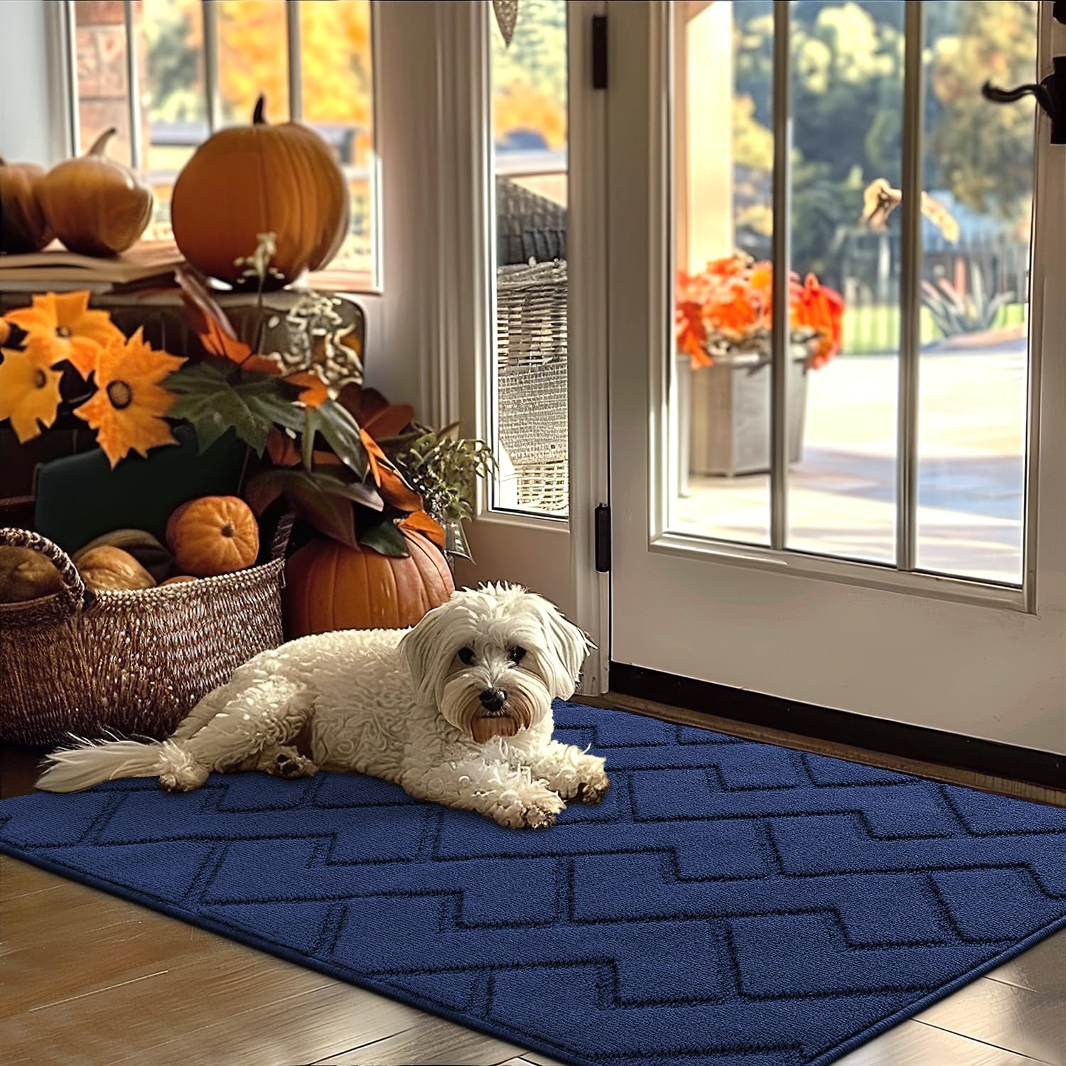 hicorfe Indoor Doormat,Front Back Door Mat Rubber Backing Non Slip Door Mats 24"x35" Absorbent Resist Dirt Entrance Doormat Inside Floor Mats for Entryway Washable Low-Profile (Navy Blue)